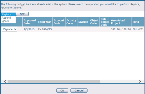 BudgetLineItemDuplicateChecking