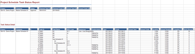 RptProjectScheduleTaskStatusReportCapt